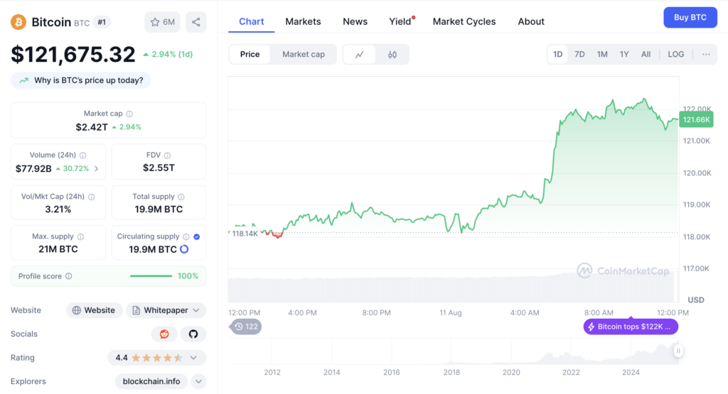 نمودار قیمت روزانه و اطلاعات بازار بیت کوین - منبع: CoinMarketCap